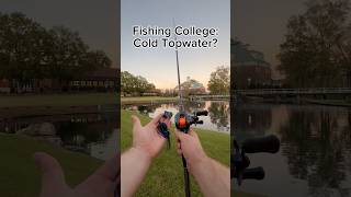 Do TOPWATERS work in COLD water 👀👀 fishing bassfishing [upl. by Orvil]