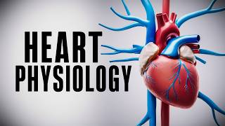 The Cardiac Cycle Simplified  What You Need to Know [upl. by Kaela994]