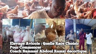 Élevage Avicole  Quelle Race Choisir Pour Commencer Coach Samassi Abdoul Ramzi décortique [upl. by Adiari]