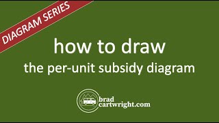 What is the PerUnit Subsidy Diagram  Explained  IB Economics  IB Microeconomics [upl. by Brandyn]