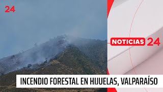 Alerta Roja en Hijuelas por incendio forestal  24 Horas TVN Chile [upl. by Daune940]