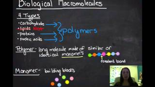 Macromolecules [upl. by Lange]