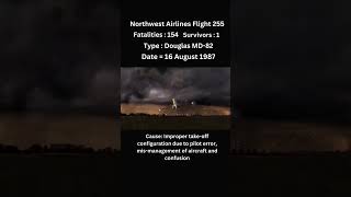 Northwest Airlines Flight 255 planecrash rip shorts aviation animation [upl. by Aivatnuahs408]