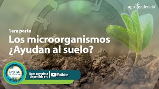 Microorganismos ¿Ayudan al suelo 🌱 Parte I [upl. by Noslrac700]