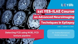 7th Lecture Using the NOEL texture pipeline in neocortical epilepsy [upl. by Berti]