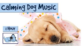 1 Hour of Calming Music for Dogs [upl. by Carny500]