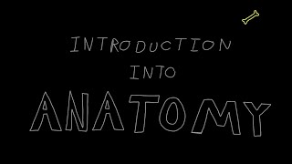 Introduction into Anatomy [upl. by Renat150]