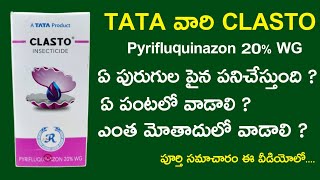 tata clasto insecticide  uses telugu  price  clasto tata insecticide  Pyrifluquinazon 20 WG [upl. by Elleinwad]