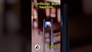 Cornflower Blue Sapphire💎 crystals bluesapphiregemstone bluesapphire bluesaphire sapphire fyp [upl. by Erda]