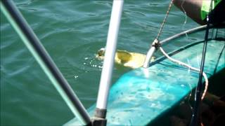 Fishing at Taung Dam [upl. by Maryjane956]