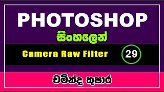 29  Adobe Photoshop  Camera Raw Filter  Sinhala සිංහල  IT Plus [upl. by Nnaik]