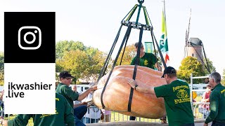 Pompoenweging  Belgisch Kampioenschap Pompoenkweken  Wildert  ikwashierlive Collectie Instagram [upl. by Mouldon]