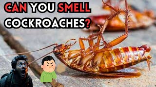 WHY DO SOME PEOPLE SMELL COCKROACHES [upl. by Zined]