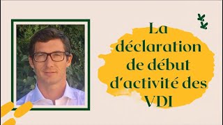 Déclaration début dactivité VDI sur le guichet unique INPI [upl. by Jerman]