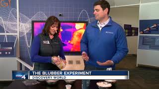 Blubber experiment How animals stay warm in the cold [upl. by Teeter]