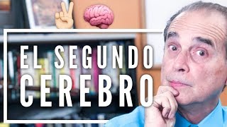 Episodio 1570 El Segundo Cerebro [upl. by Renee]