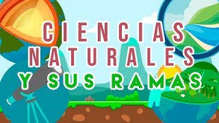 ¿CUÁLES SON LAS PRINCIPALES CIENCIAS NATURALES Y QUE ESTUDIAN  ANIMADO [upl. by Mercuri]