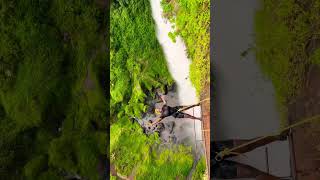 How to Abseil Sipi Faills shortvideo youtube youtubeshorts abseiling waterfall travel [upl. by Ainafetse]