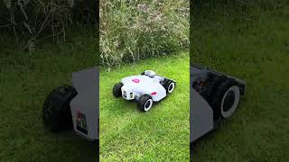 LUBA 2 AWD Robot Mower  EPIC Lawn Stripes after one WEEK mammotion roboticlawnmower robot lawn [upl. by Durno534]