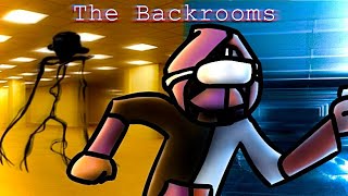 HUNTED in The Backrooms in VR NoClip VR [upl. by Adnov]