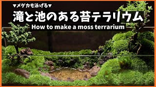 【コケテラリウム】滝と池のあるメダカ水槽の立ち上げ方 Aquarium Kind 33 めだか苔コケリウムJapanese rice fishMoss Terrarium [upl. by Wolgast]