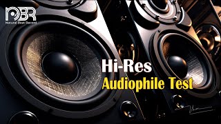 HiRes Audiophile Test  Best Voices amp Instrumental 24 Bit  Natural Beat Records [upl. by Lewan3]