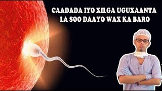 DHIIGA CAADADA IYO XILGA UGAXAANTA LA SOO DAAYO WAX KA BARO Dr faris [upl. by Milman450]