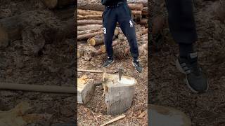 I chop dry firewood woodworking woodwork wind [upl. by Naejeillib275]