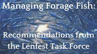 Managing Forage Fish — Recommendations from the Lenfest Task Force [upl. by Ycnay230]