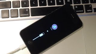 10 iPhone 5 qui reboot en mode recuperation apres changement de batterie [upl. by Lemor167]