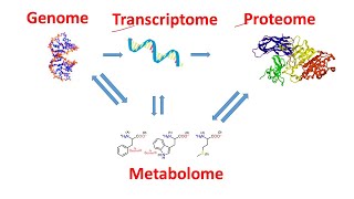 Genome Transcriptome Proteome Metabolome within 2 minutes  Genomics Transcriptomics Proteomics [upl. by Etheline203]