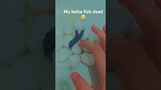 My betta fish dead🥺🥺😭😭😭 [upl. by Armbrecht]