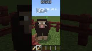 Minecraft name tag logic minecraftshorts minecraft gaming [upl. by Prichard]