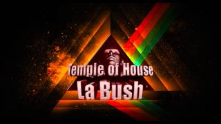 la bush temple of house  Gramophonedzie  Why Dont You Remix [upl. by Yelmene]