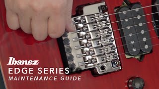 Edge Series Tremolo Bridge Maintenance Guide [upl. by Dempsey470]