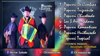 Los Reyes De Sinaloa  Disco Completo En Vivo En Constancia 2017 [upl. by Isabelle]