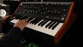 tame impala  new person same old mistakes synth bass cover moog sub37 [upl. by Nylle]