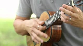 Jake Shimabukuro  quotBlue Roses Fallingquot at Old Settlers Music Festival 2015 [upl. by Zohara]