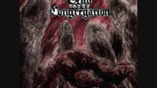 Dead Congregation  Source of Fire [upl. by Leboff]