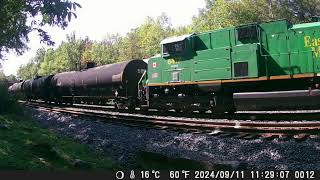 240915 South Facing Backyard Railcam [upl. by Neoma108]