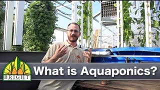 What is Aquaponics [upl. by Travers112]