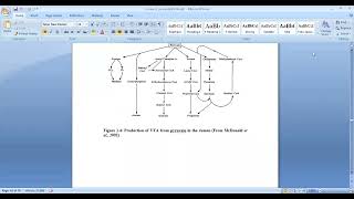 Carbohydrate digestion in ruminants [upl. by Marna632]