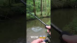 Énorme attaque au whopper plopper  whopperplopper fishing pike [upl. by Benjamen]