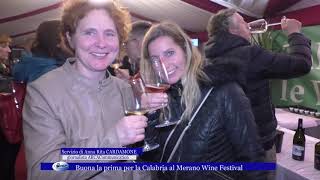 Buona la prima per la Calabria al Merano Wine Festival [upl. by Dudden]