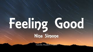 Nina Simone  Feeling Good Lyrics [upl. by Akessej476]