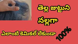 మునగాకు తో హెయిర్ పాక్white hair to black hair naturally [upl. by Dduj622]