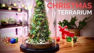 Make a stunning Christmas Tree Terrarium with live moss and plants [upl. by Schargel]