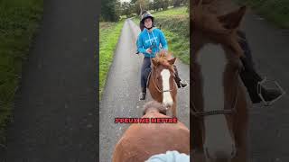 Le seul sport où on ne te jugera pas avec cette phrase 🤣🤣🤣 equitation equestrian [upl. by Manda]