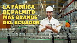 La fábrica de palmito más grande de Ecuador Inaexpo de Pronaca [upl. by Pronty]