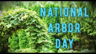 National Arbor Day last Friday in April Activities and How to Celebrate National Arbor Day [upl. by Ihtak]